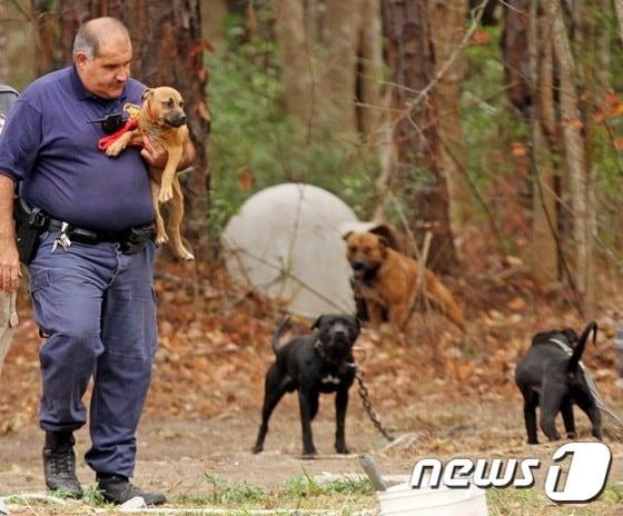 본문 이미지 - ⓒ News1