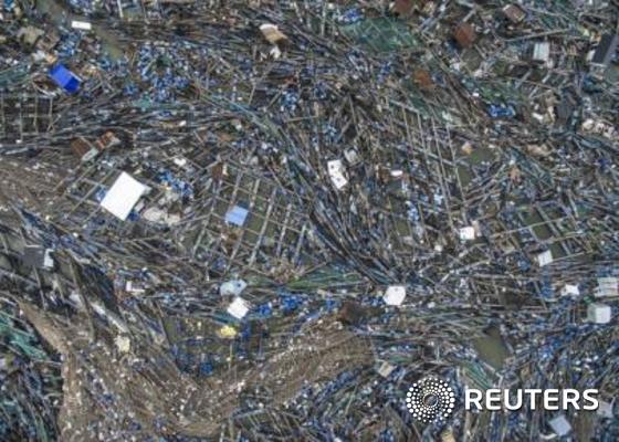 본문 이미지 - 태풍 무지개가 광둥성 잔장시를 휩쓸고 지나갔다. ⓒ 로이터=뉴스1