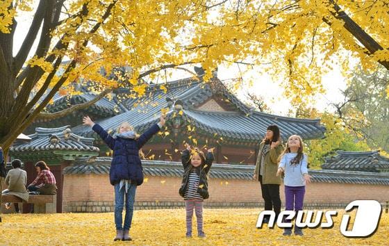 본문 이미지 - 서울 종로구 세종로 경복궁에서 외국인 어린이들이 은행 단풍잎을 던지며 가을을 만끽하고 있다. 2015.11.11/뉴스1 ⓒ News1 신웅수 기자