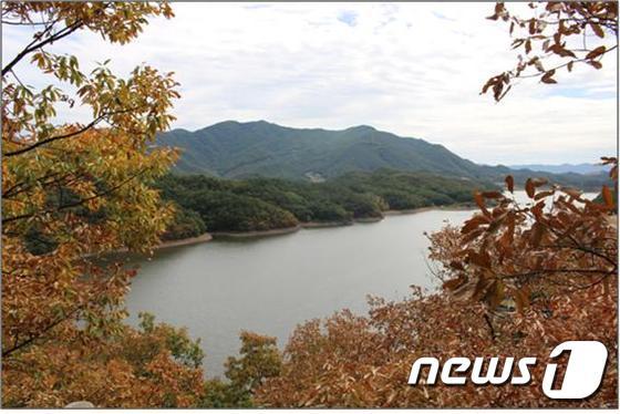 본문 이미지 - 진천의 명물로 자리매김한 미르숲에서 바라본 초평저수지 전경. 사진제공=진천군청 ⓒ News1