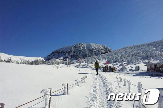 본문 이미지 - 올겨울 특별한 제주도 여행을 위해 웹투어에서 '한라산 눈꽃여행', '새해맞이 일출여행'을 선보였다. 사진 제공/ 웹투어 ⓒ News1