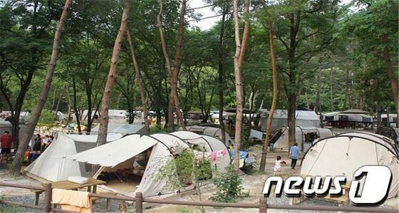 본문 이미지 - 월악산 국립공원 닷돈재 야영장. ⓒ News1