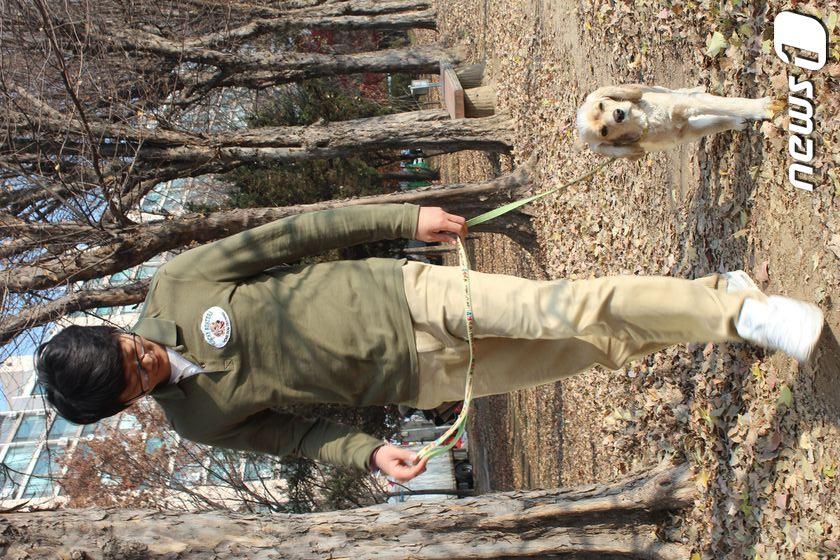 본문 이미지 - ⓒ News1