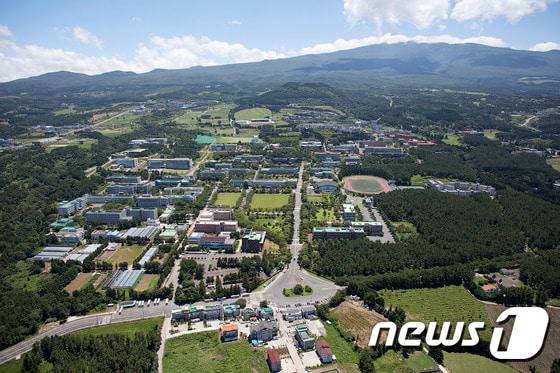 본문 이미지 - 제주대 전경.ⓒ News1