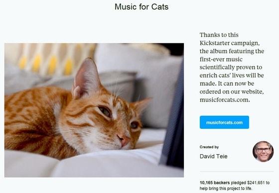 본문 이미지 - 고양이를 위한 음반 '뮤직포캣츠(Music For Cats)'가 발매돼 애묘인들의 관심을 받고 있다.(미국 소셜 펀딩 사이트 킥스타터 '뮤직포캣츠' 앨범 제작 기금 모금 페이지) ⓒ News1