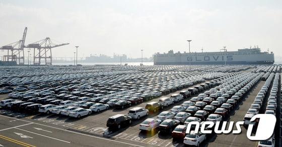 본문 이미지 - 한·중 자유무역협정(FTA) 국회 비준이 확정된  2015년 11월 30일  오후 경기도 평택항 동부두 수출 야적장에 자동차들이 줄지어 서 있다.  ⓒ News1 이재명 기자