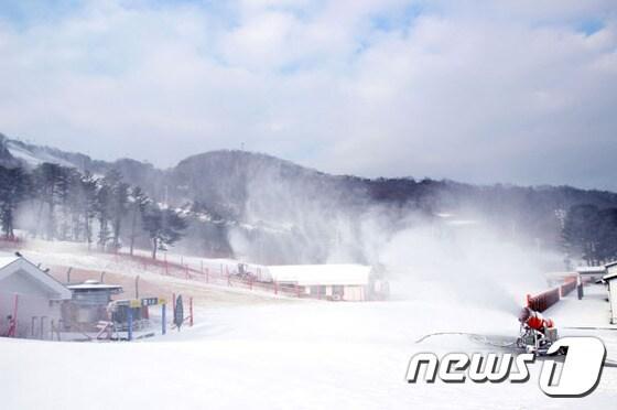 본문 이미지 - 지산 포레스트 리조트가 12월 초 개장을 목표로 제설기를 가동해, 동계 시즌 개장준비에 박차를 가하고 있다. 사진 제공/ 지산 포레스트 리조트 ⓒ News1