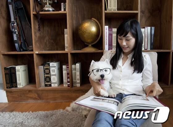 본문 이미지 - 전문가들은 습식사료가 반려견의 건강에 안 좋은 영향을 준다는 평가에 대해 '잘못된 상식'이라고 입을 모은다. 습식사료는 건사료 대비 칼로리가 4분의 1에 불과하다.(사진 애견사료 전문 브랜드 시저 제공)ⓒ News1