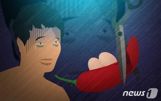 본문 이미지 - ⓒ News1 최진모 디자이너