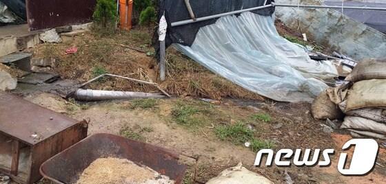 본문 이미지 - (사진은 기사 내용과 무관함) / 뉴스1 ⓒ News1