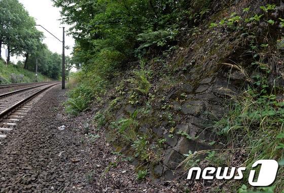 본문 이미지 - 한때 나치의 황금열차가 묻혔던 것으로 추정된 폴란드 바우브지흐 지역 ⓒ AFP=뉴스1