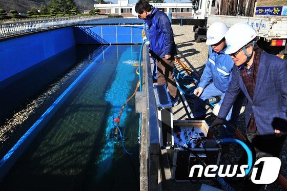 본문 이미지 - 포항시 남구 유강정수장 모습 (자료사진) /뉴스1 ⓒ News1 최창호 기자