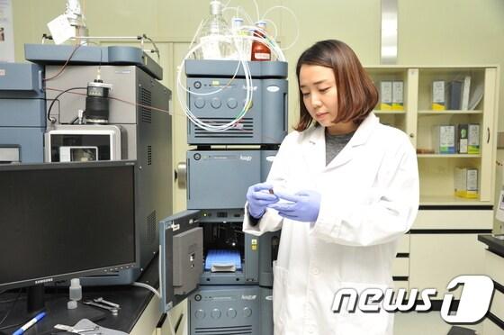 본문 이미지 - KRISS 유기분석표준센터 백송이 박사가 동위원소희석 액체크로마토그래피 질량분석기를 이용, 인증표준물질을 분석하고 있다.ⓒ News1