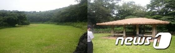 본문 이미지 - 제주 교래자연휴양림 내 서울시 캠핑장 전경(서울시 제공). ⓒ News1