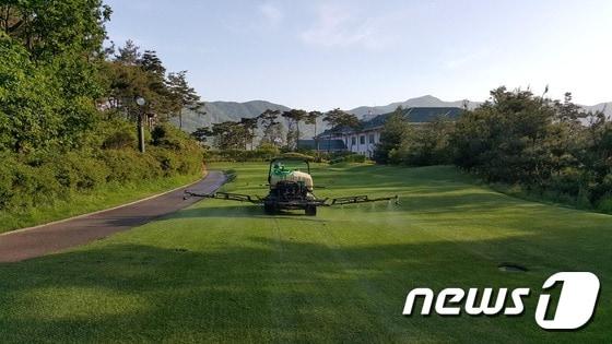 본문 이미지 - 골프장에서  목초액 등 친환경농약을 살포해 벌레를 잡고 있는 모습 ⓒ News1