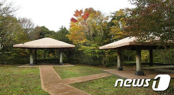 본문 이미지 - 제주 교래자연휴양림 내 야영장. (사진=교래자연휴양림 홈페이지) 2015.12.25. 뉴스1 ⓒ News1