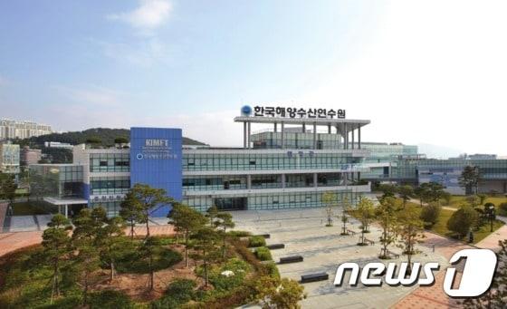 본문 이미지 - 한국해양수산연수원ⓒ News1