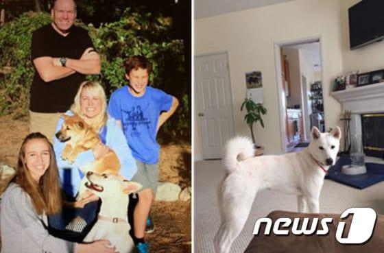 본문 이미지 - 지난 11월14일 LA의 한 가정에 입양된 믹스견(왼쪽)과 지난해 8월 캘리포니아로 입양 간 진돗개. 이 두 반려견들은 새로운 가족을  만나 행복한 삶을 살아가고 있다.(사진 장병권 BK International 대표 제공)ⓒ News1ⓒ News1