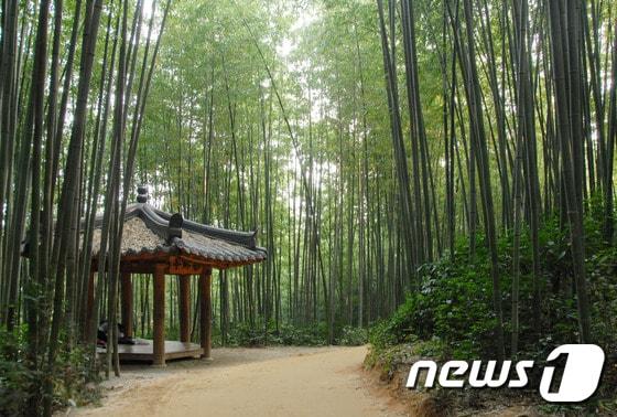본문 이미지 - 전남 담양군은 민족 대명절 설을 맞아 담양의 주요 관광명소 6곳을 무료로 개방한다. (담양군 제공) 2015.2.14ⓒ News1
