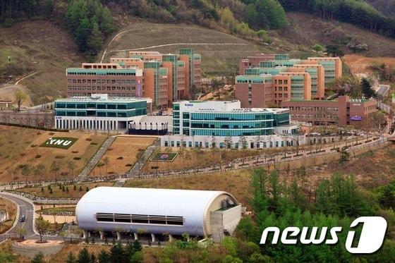 본문 이미지 - 강원대학교 도계캠퍼스 (뉴스1 DB)