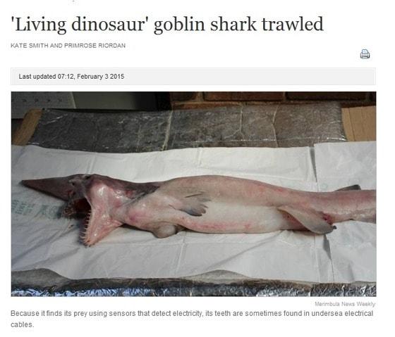 본문 이미지 - ⓒ 영국 데일리 메일 보도