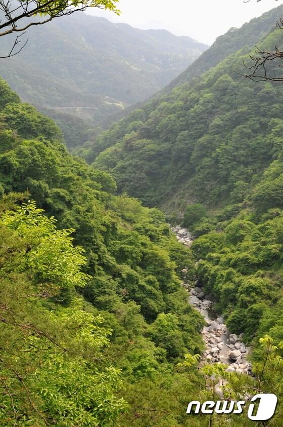 본문 이미지 - 지리산국립공원 내 구룡계곡 ⓒ News1