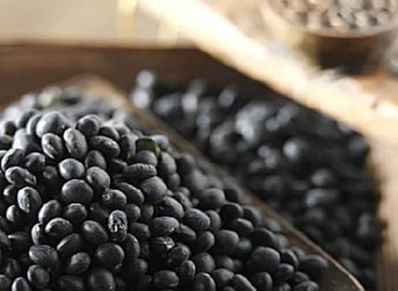 본문 이미지 - 검은콩. ⓒ News1