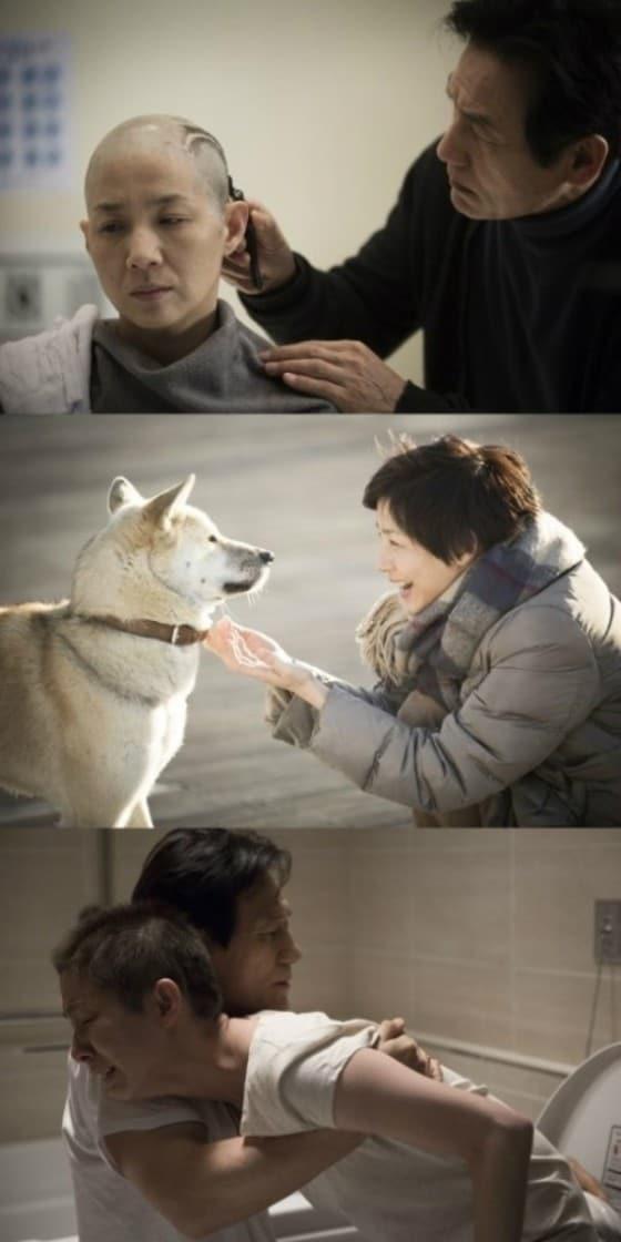 본문 이미지 - 김호정이 영화 '화장'에서 파격적인 노출을 감행해 눈길을 끌고 있다.