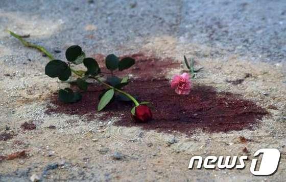 본문 이미지 - 튀니지 수도 튀니스의 박물관 테러로 숨진 21명을 추모하는 장미들이 19일(현지시간) 테러현장 바르도국립박물관 앞에 놓여 있다. ⓒ News1