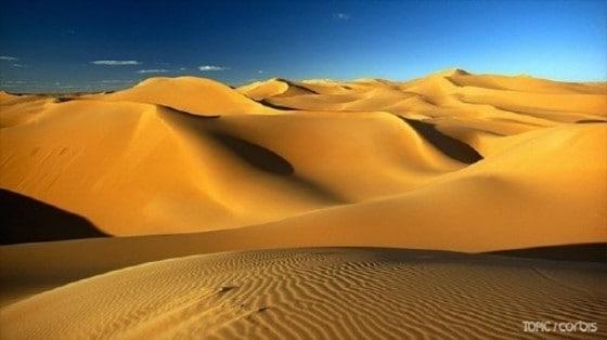 본문 이미지 - ⓒ 네이버 캐스트