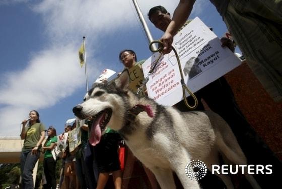본문 이미지 - 자료 사진. ⓒ 로이터=뉴스1