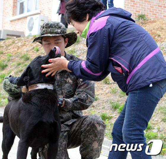 본문 이미지 - 22일 제1야전군사령부 춘천 군견교육대에서 민간인이 퇴역 군견을 양도받고 있다. 이날 군견교육대는 국방의 의무를 다한 군견 34마리를 민간인에게 양도했다. 2015.4.22/뉴스1 2015.04.22/뉴스1 ⓒ News1 황준 기자
