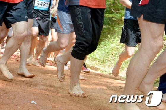 본문 이미지 - (사진은 기사 내용과 무관함) / 뉴스1 ⓒ News1