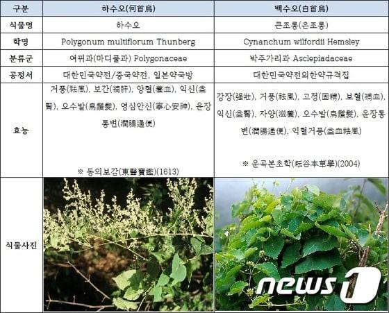 본문 이미지 - 약제 분석. /뉴스1 ⓒ News1