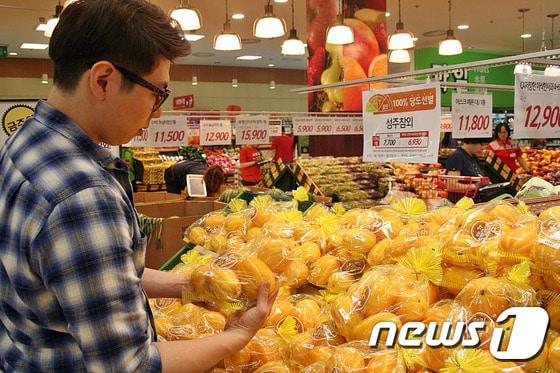 본문 이미지 - 서울 중구 봉래동 롯데마트 서울역점에서 고객이 제철 맞은 '참외'를 살펴보고 있다. ⓒ News1 조희연 기자