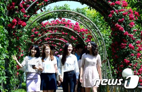 본문 이미지 - 지난달 26일 오전 1,000만 송이 장미꽃이 절정을 이룬 서울 중랑구 묵동 중랑천 장미터널에서 모델과 구청 여성 직원들이 환하게 웃으며 걷고 있다. ⓒ News1