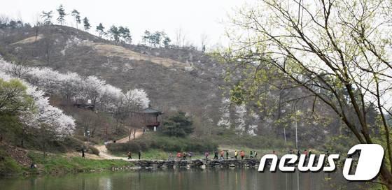 본문 이미지 - 현대모비스가 진천군에 조성중인 '미르숲'(사진제공 현대모비스)ⓒ News1