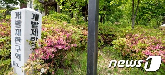 본문 이미지 - 1970년대 이후 경기도내에서 신도시 개발 등을 이유로 개발제한구역에서 지정 헤제된 면적이 여의도의 58.8배인 1억7070만8000㎡에 이르는 것으로 나타났다./뉴스1 ⓒ News1 이재명 기자