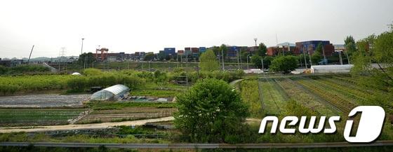 본문 이미지 - 의왕 그린벨트 모습.. 2015.5.6/뉴스1 ⓒ News1 이재명 기자