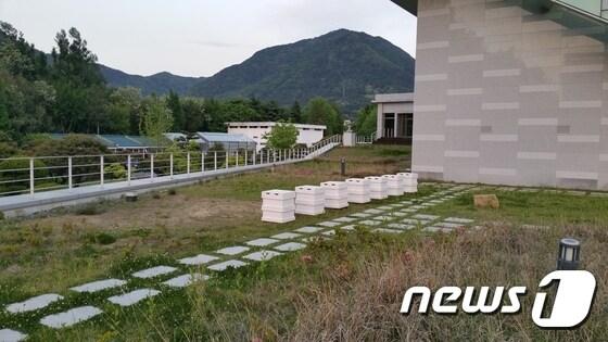 본문 이미지 - 경남도가 벌꿀 소비촉진과 양봉산업 홍보를 위해 도청 신관 야외 옥상에 설치한 친환경 도시 양봉장.<경남도 제공> ⓒ News1