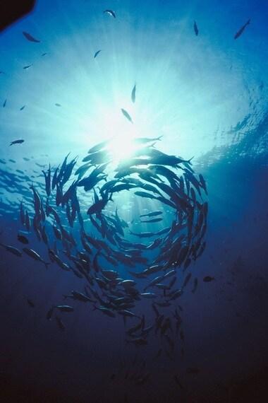 본문 이미지 - 사진출처 : 리크리홀딩컴퍼니 ⓒ News1