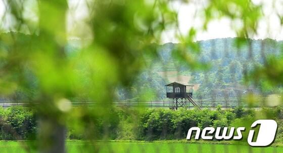 본문 이미지 - 군 부대 철조망. 해당 기사 내용과는 무관. 2015.6.15/뉴스1 ⓒ News1 민경석 기자