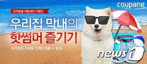 본문 이미지 - 소셜커머스업체 쿠팡이 '반려동물 여름대비 기획전'을 진행한다.ⓒ News1