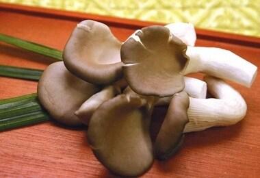 본문 이미지 - 버섯은 면역기능 향상 및 혈압 조절, 다이어트에 효과가 있다. (출처: 네이버)