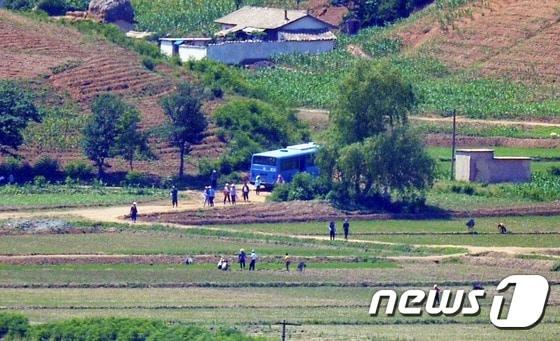 본문 이미지 - 북한 황해북도 개풍군 일대에서 북측 주민들이 밭에서 일을 하고 있다. /뉴스1 ⓒ News1