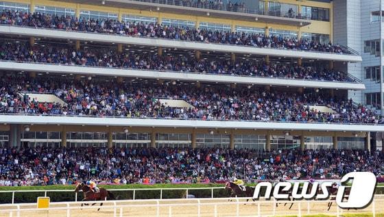 본문 이미지 - 경기도 과천시 렛츠런파크를 가득 메운 관중들이 경주를 관전하고 있다.  ⓒ News1 허경 기자