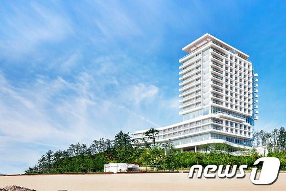 본문 이미지 - 강릉 씨마크 호텔 ⓒ News1
