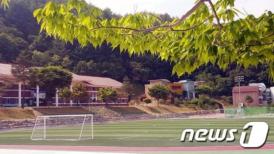 본문 이미지 - 경북 영양군 자연생태공원 전경/사진제공=영양군 ⓒ News1