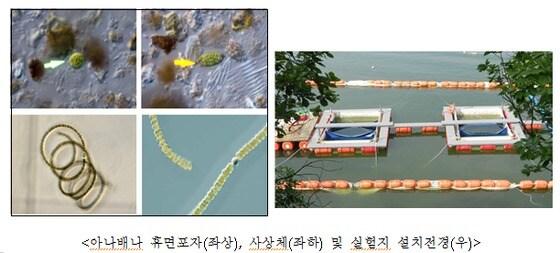 본문 이미지 - (국립환경과학원 제공) ⓒ News1