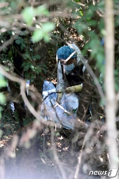 본문 이미지 - 경찰과학수사대가 15일 수원에서 실종된 20대여성의 시신이 발견된 평택시 진위면 봉남리에서 사체를 수습하고 있다. 이날 오전 9시 45분께 평택 진위천 일대를 수색 중이던 경찰은 진위배수지 인근 야산에 유기된 A(22·여·대학생)씨의 시신을 발견했다. (중부일보 제공) 2015.7.15/뉴스1 ⓒ News1